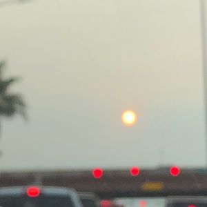 Meet your Posher, Ava